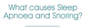 causes
